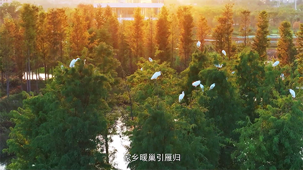 湖陂村帮扶纪录片东方船影视制作 (14).png